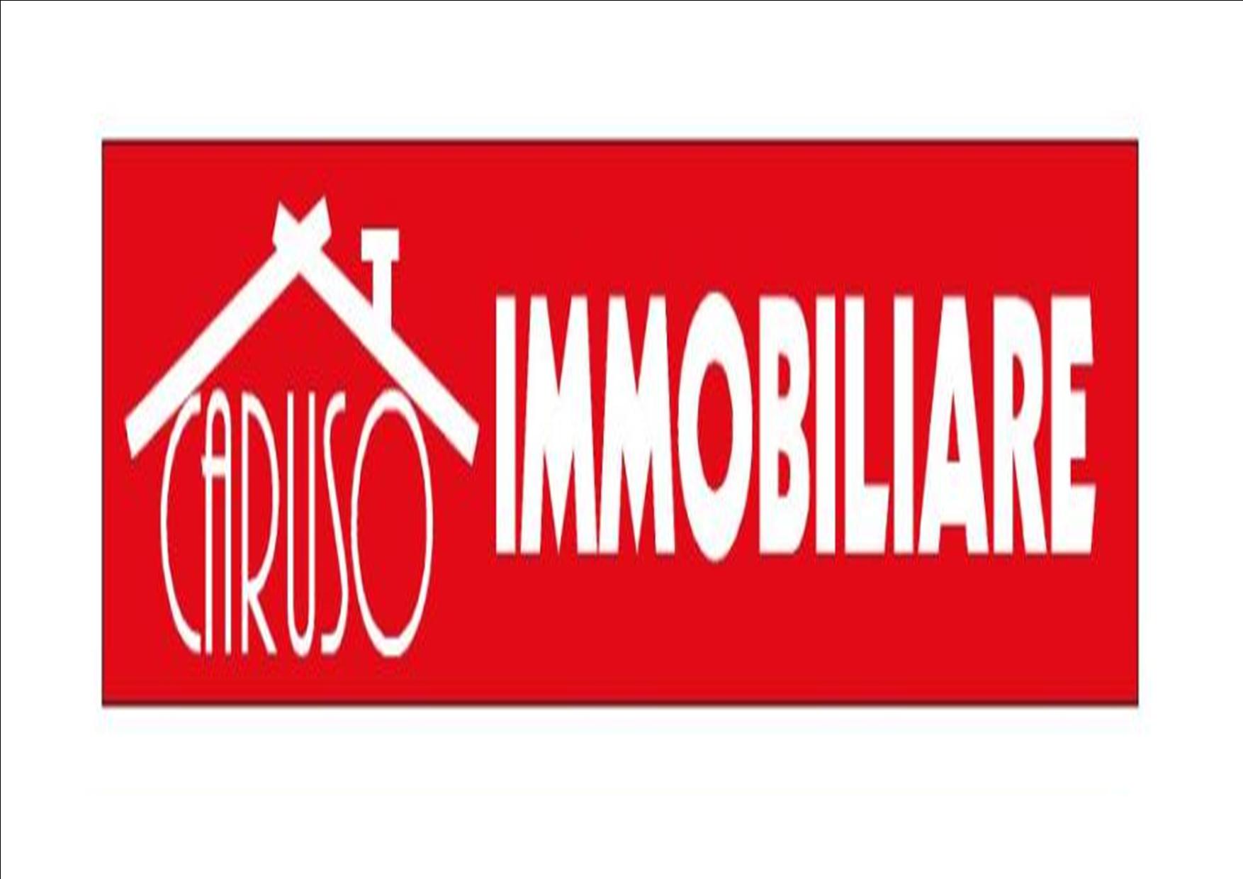 caruso immobiliare srl