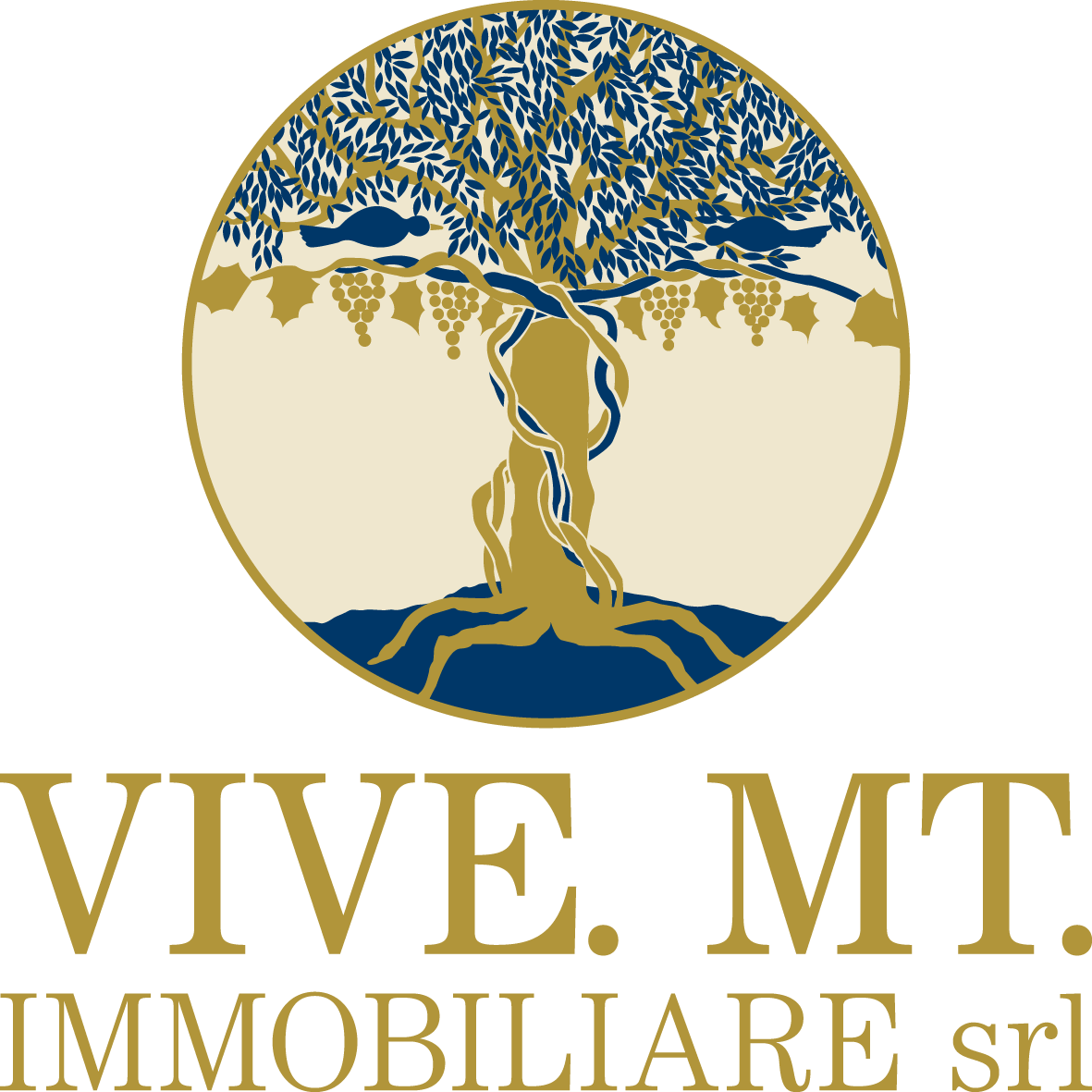 VIVE.MT.IMMOBILIARE SRL