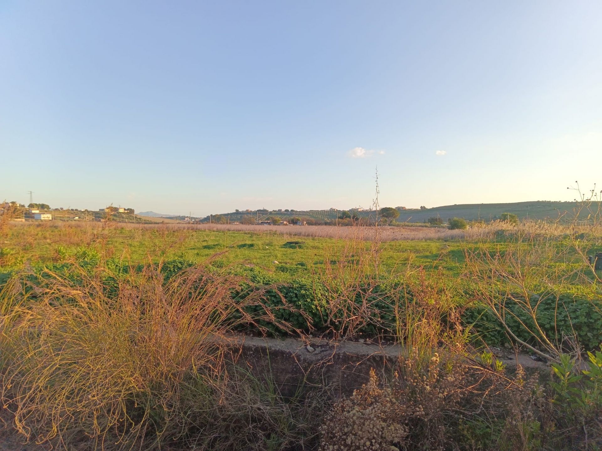 Terreno Agricolo Agrigento 