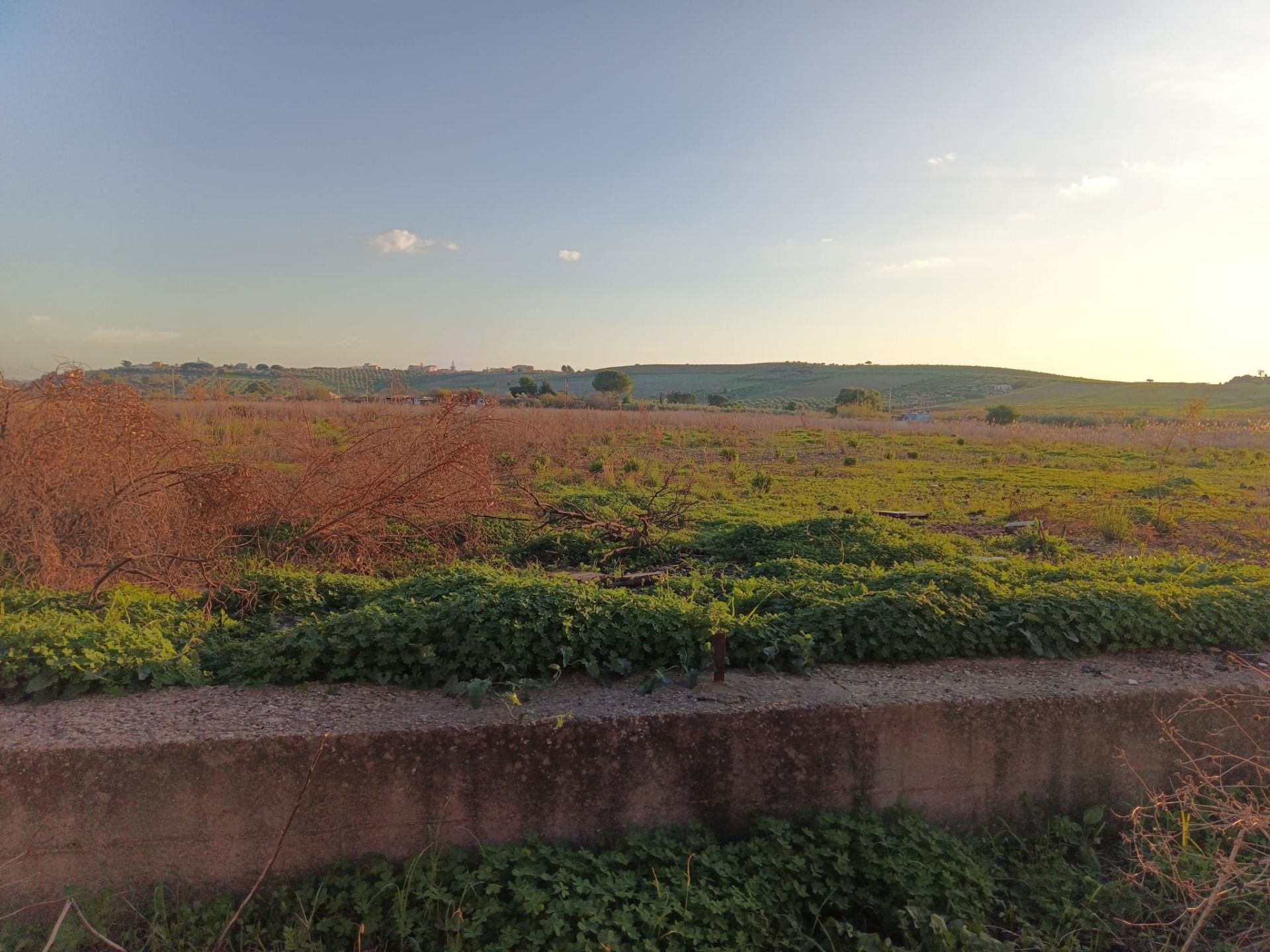 Terreno Agricolo Agrigento 