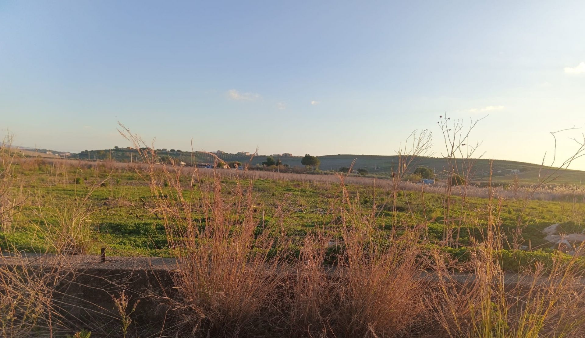 Terreno Agricolo Agrigento 