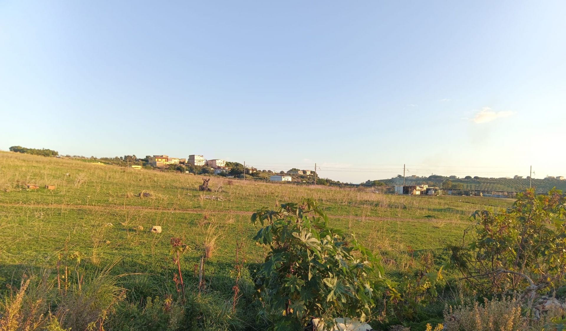 Terreno Agricolo Agrigento 