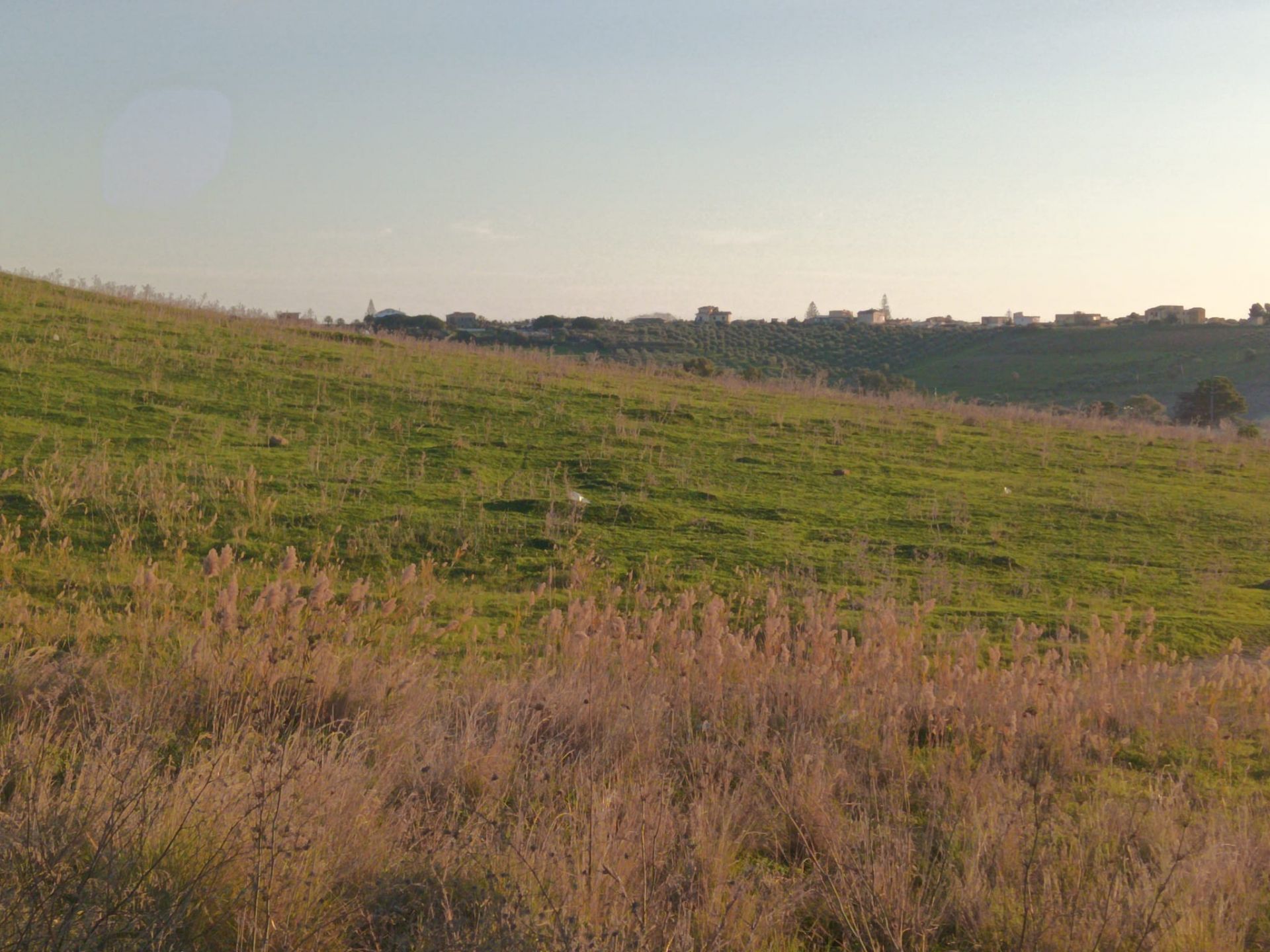 Terreno Agricolo Agrigento 