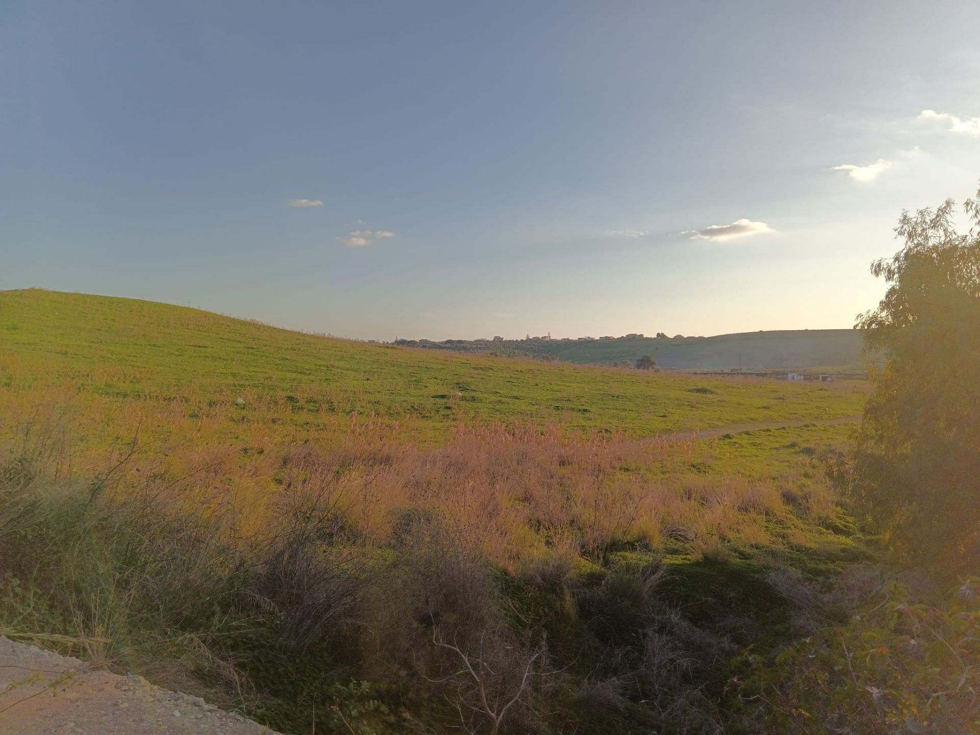 Terreno Agricolo Agrigento 