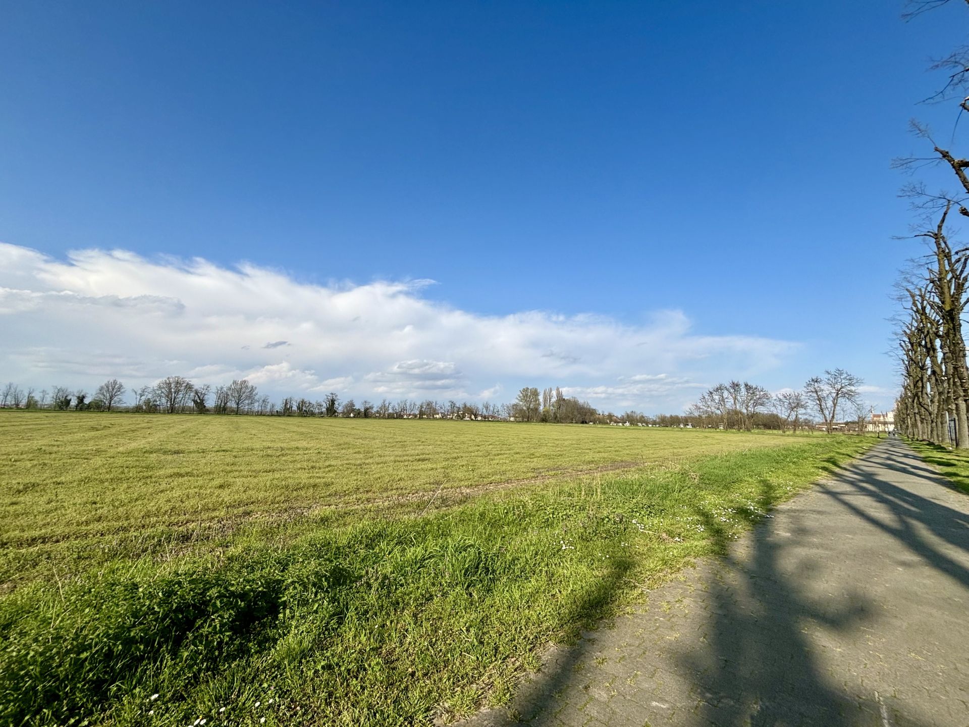 Terreno Agricolo Certosa di Pavia 