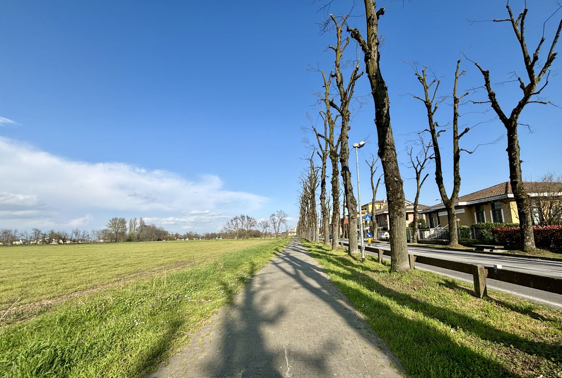 Terreno Agricolo Certosa di Pavia 