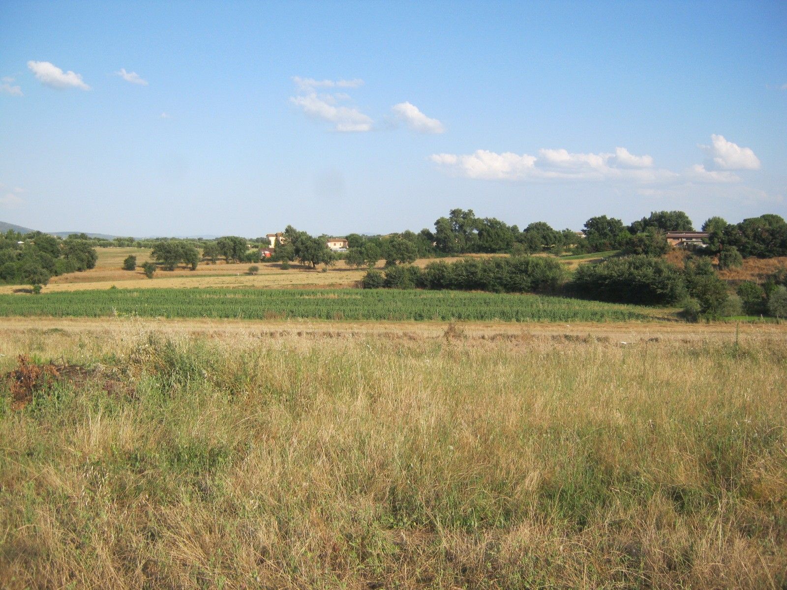 Terreno Agricolo Cortona 