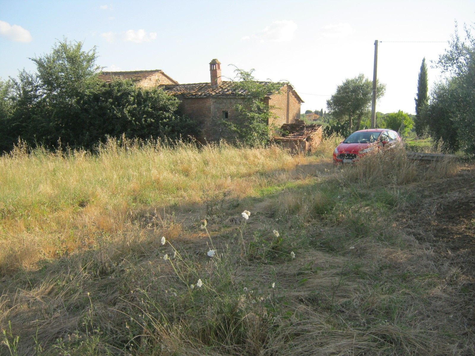 Vendita Terreno Agricolo Cortona