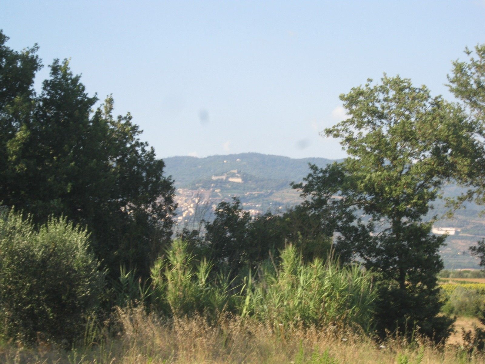 Vendita Terreno Agricolo Cortona