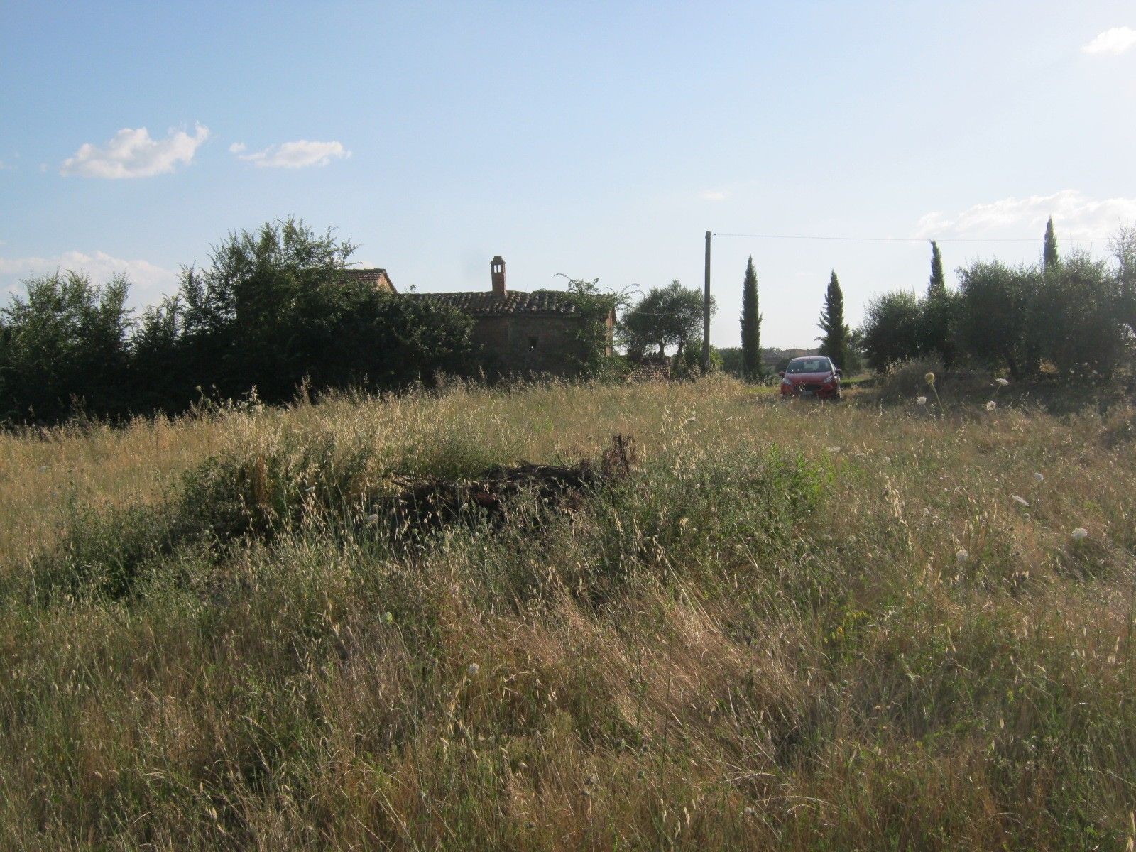 Vendita Terreno Agricolo Cortona