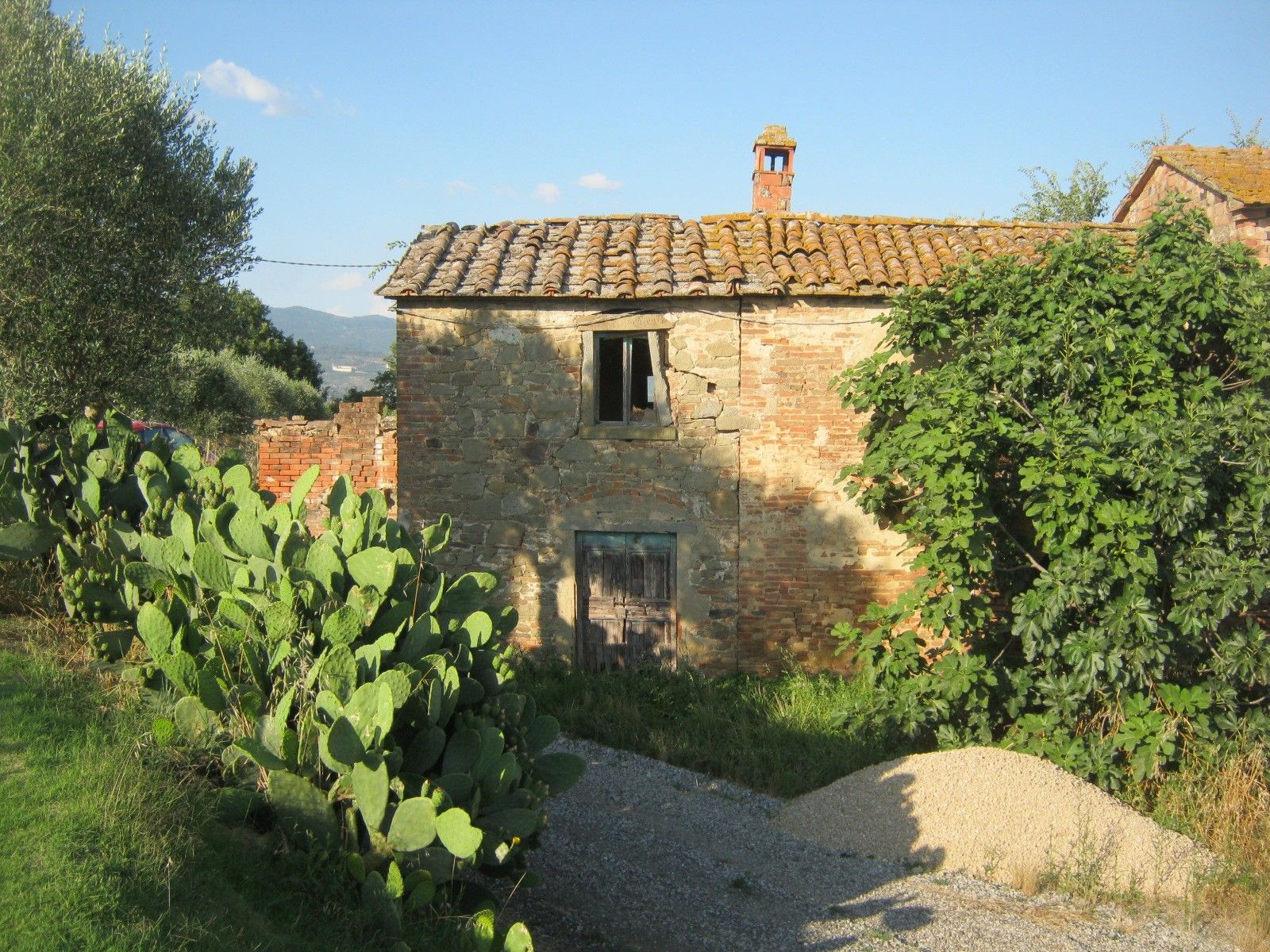 Terreno Agricolo Cortona 