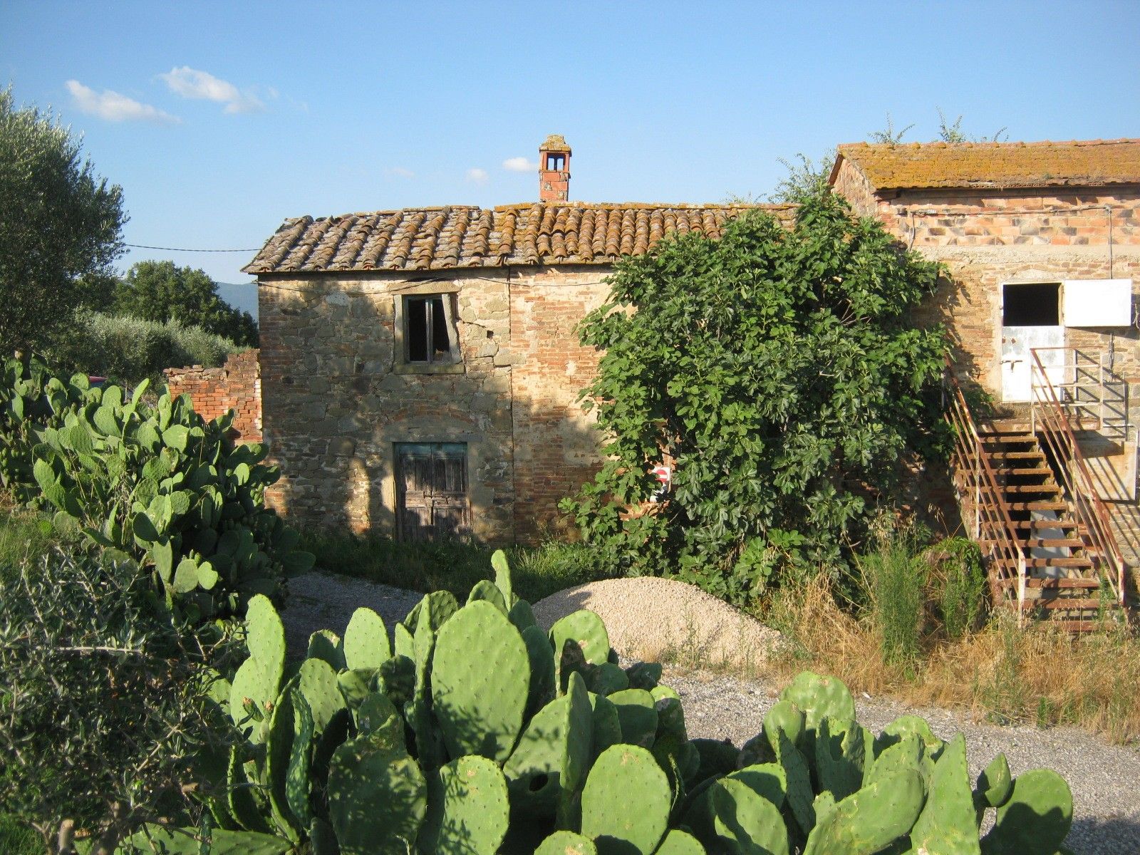 Terreno Agricolo Cortona 