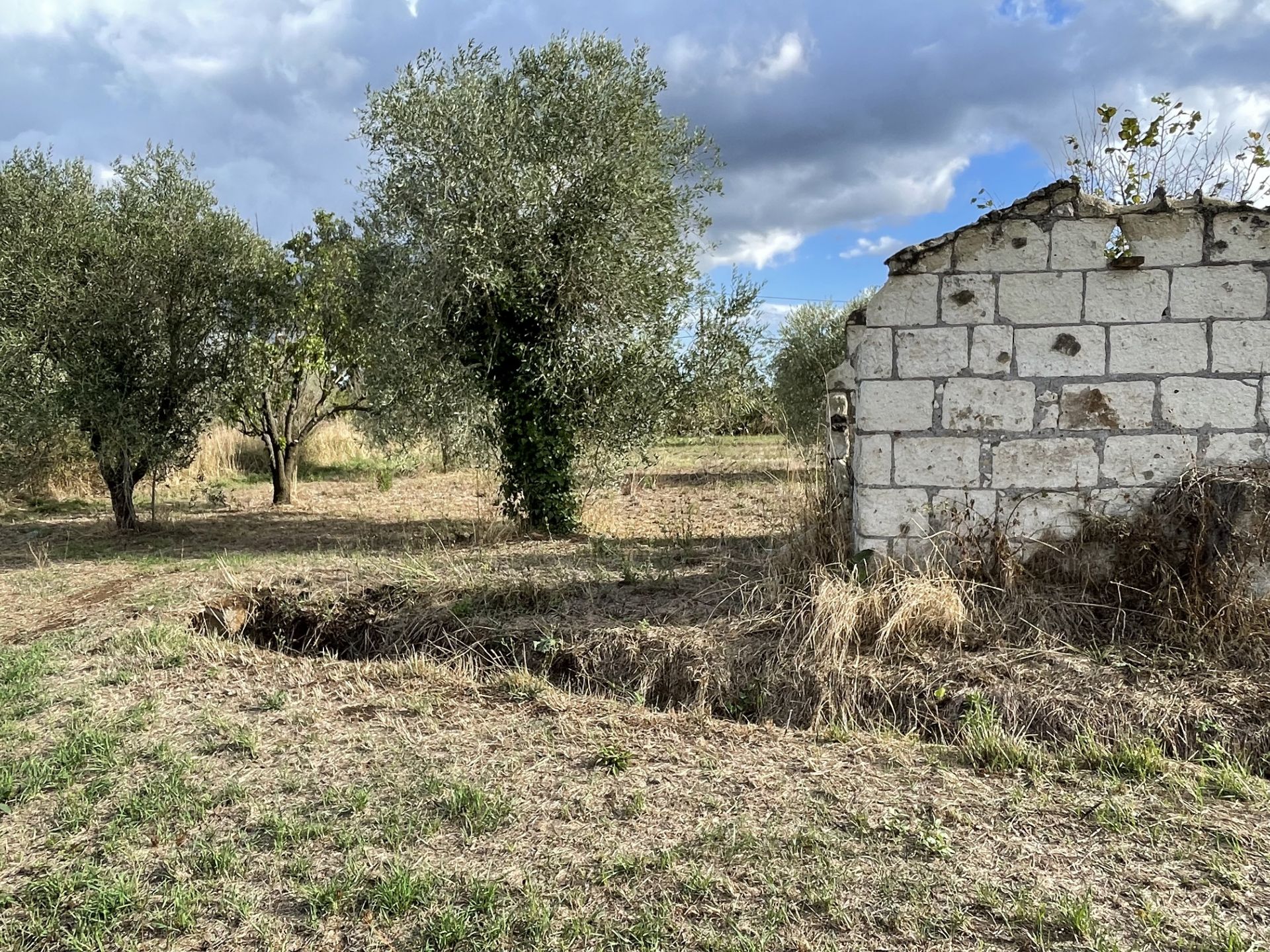 Terreno Agricolo Fabrica di Roma 