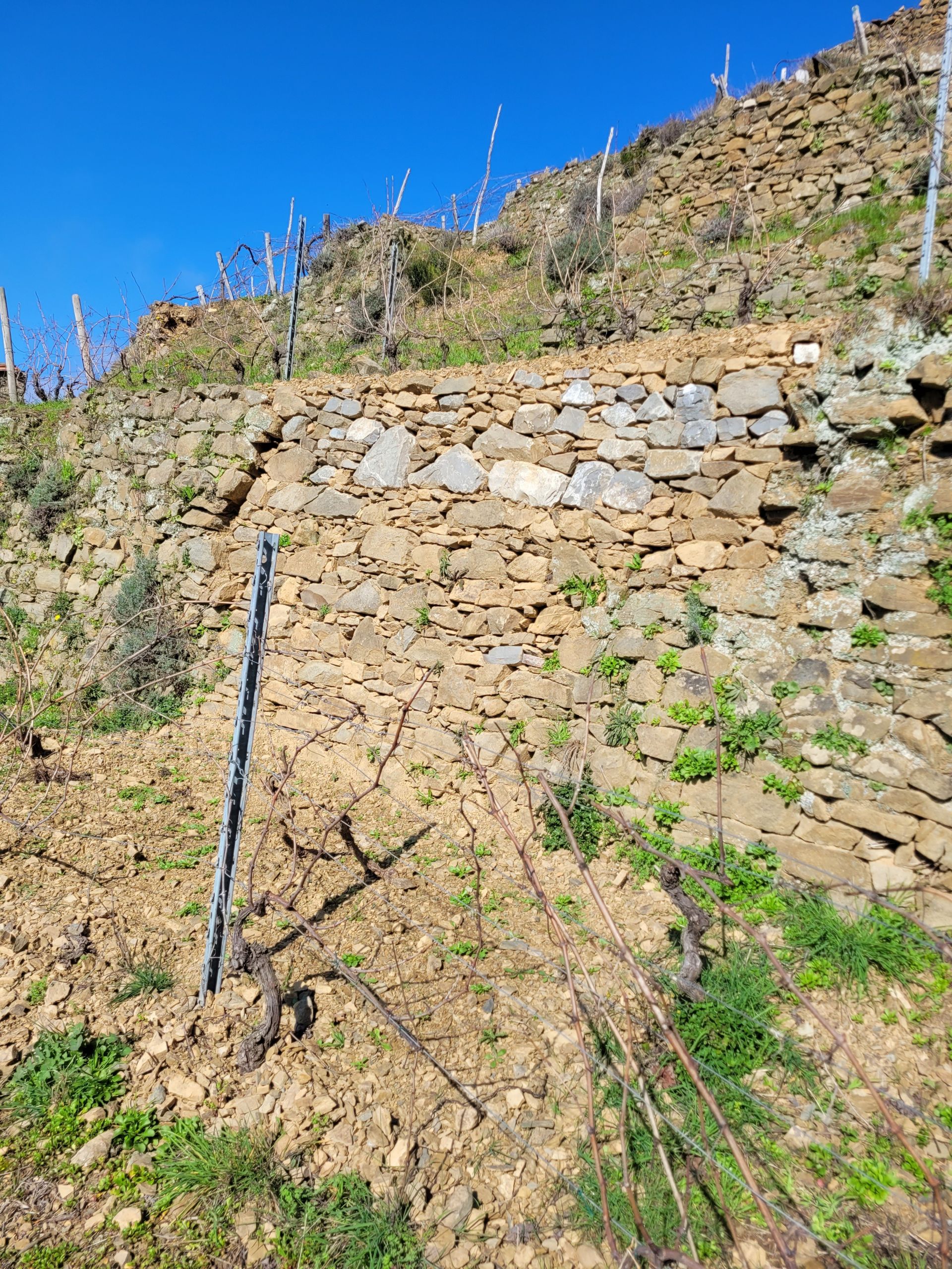 Vendita Terreno Agricolo Riomaggiore