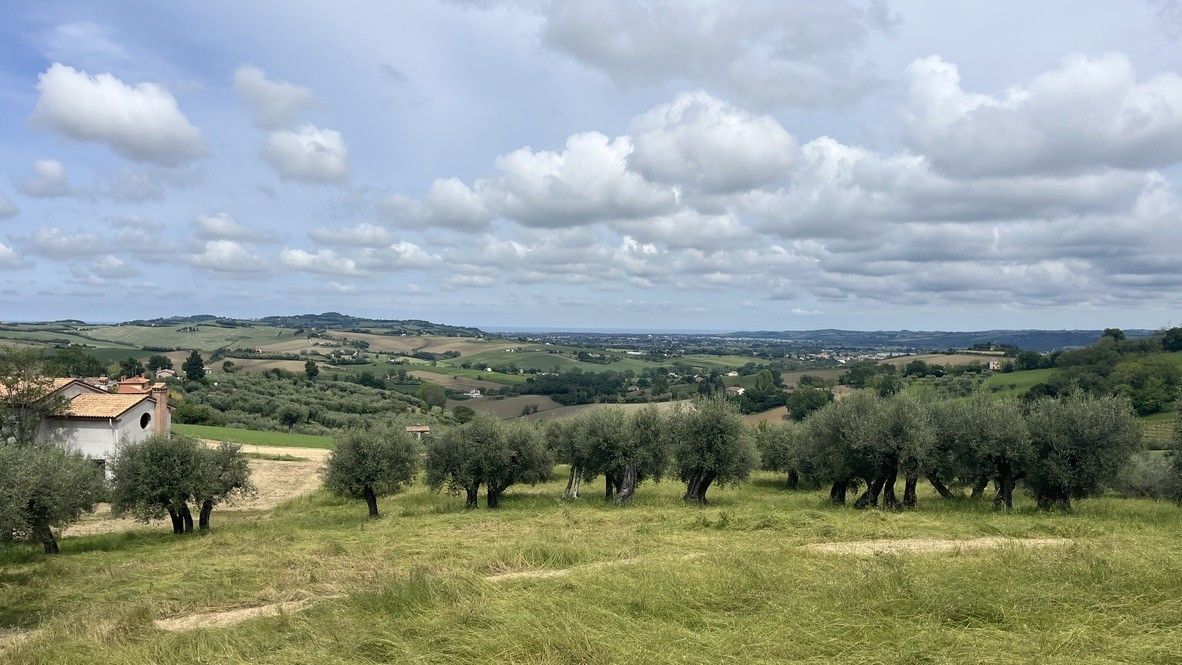 Terreno Agricolo Cartoceto 