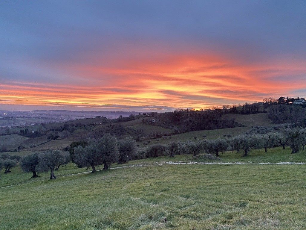 Terreno Agricolo Cartoceto 