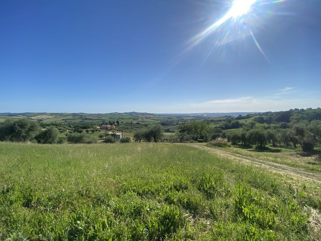 Terreno Agricolo Cartoceto 