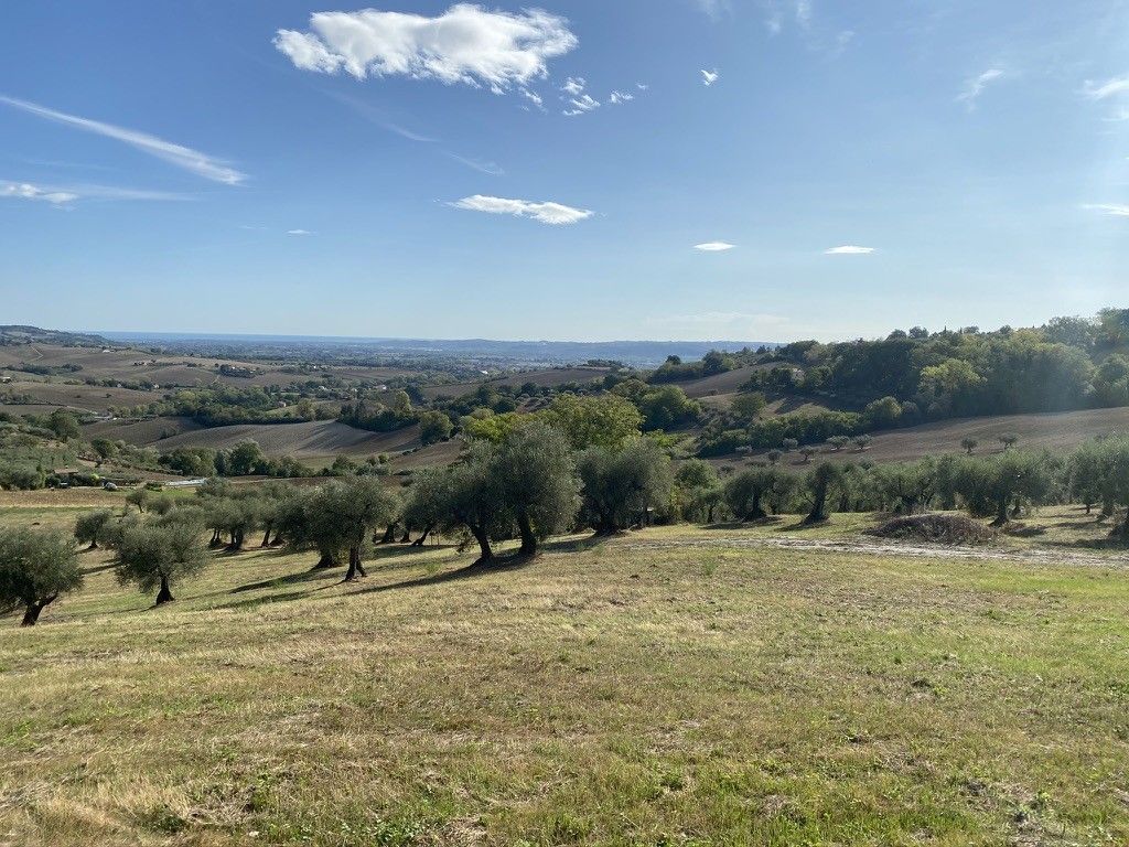 Terreno Agricolo Cartoceto 