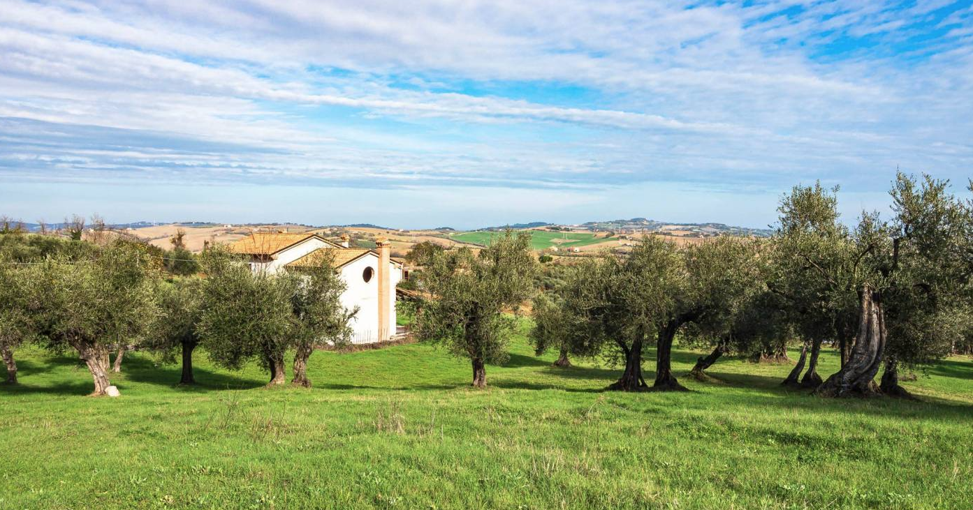 Terreno Agricolo Cartoceto 