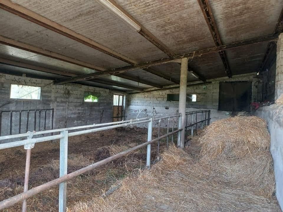 Vendita Terreno Agricolo Gubbio