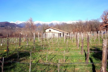 Azienda Agricola Villafranca in Lunigiana 