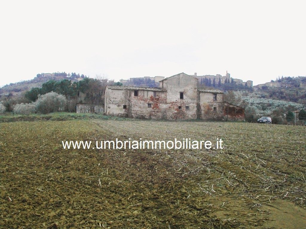 Vendita Rustico/Casale/Corte Panicale