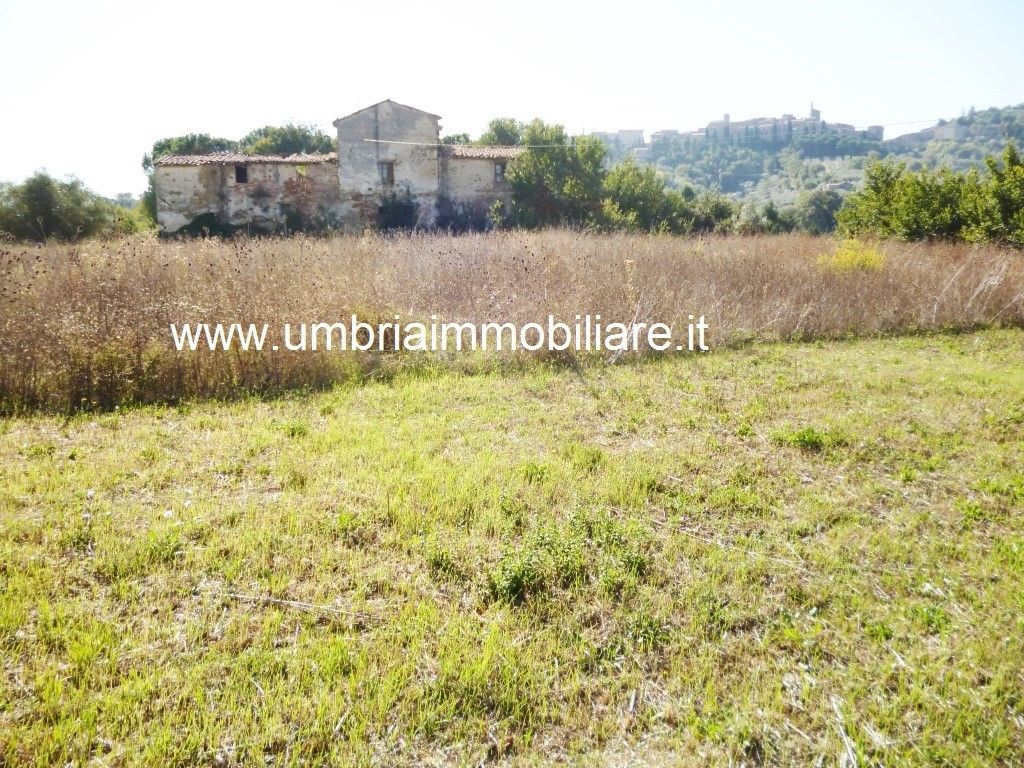 Vendita Rustico/Casale/Corte Panicale