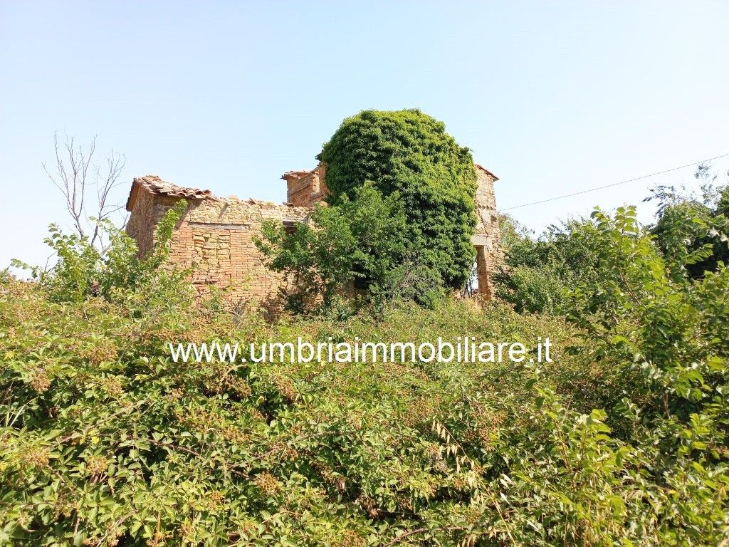 Vendita Rustico/Casale/Corte Panicale