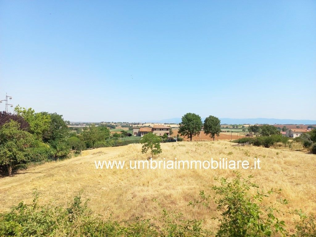 Vendita Rustico/Casale/Corte Panicale