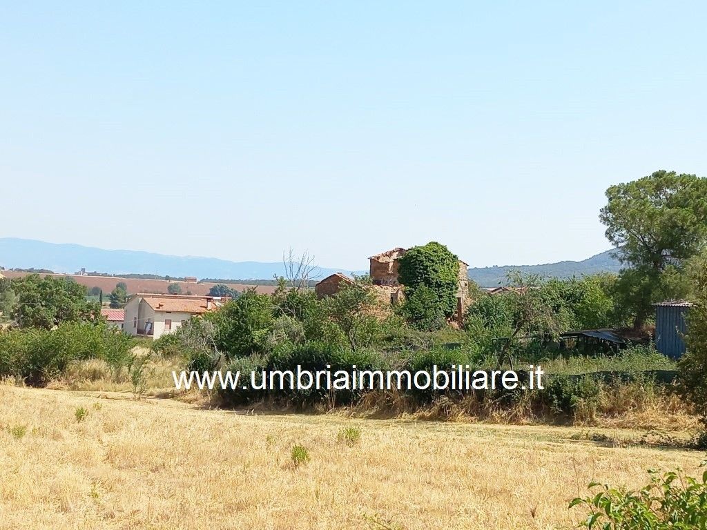 Vendita Rustico/Casale/Corte Panicale