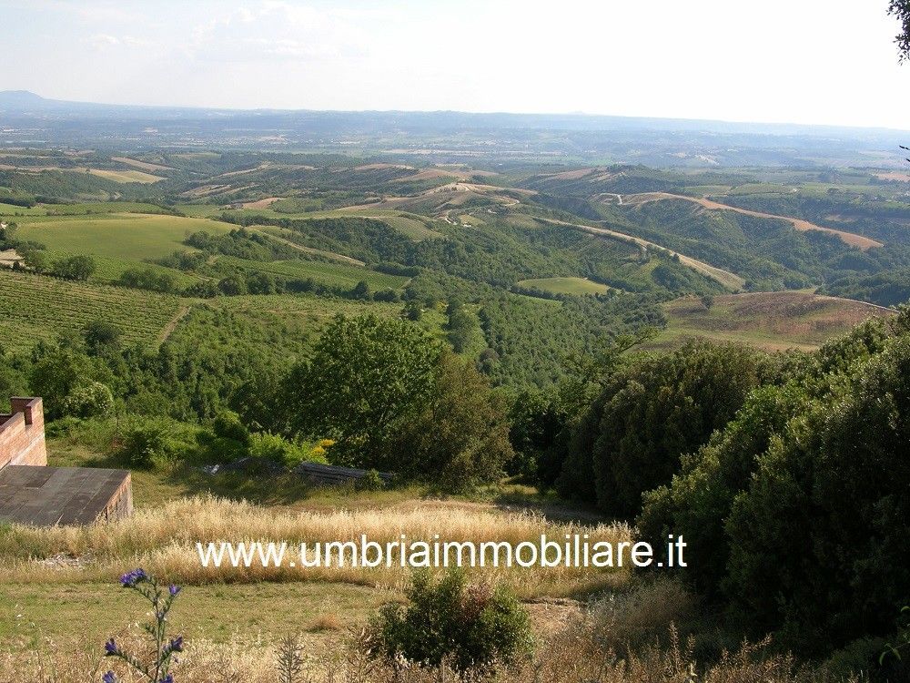 Vendita Rustico/Casale/Corte Montecchio