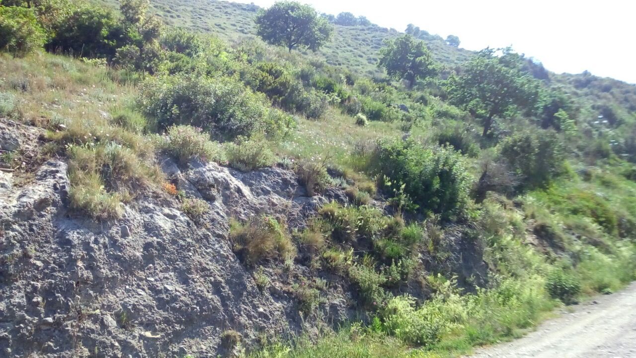 Vendita Terreno Agricolo Salerno