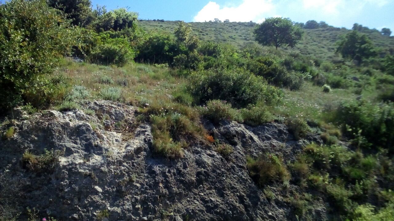 Vendita Terreno Agricolo Salerno