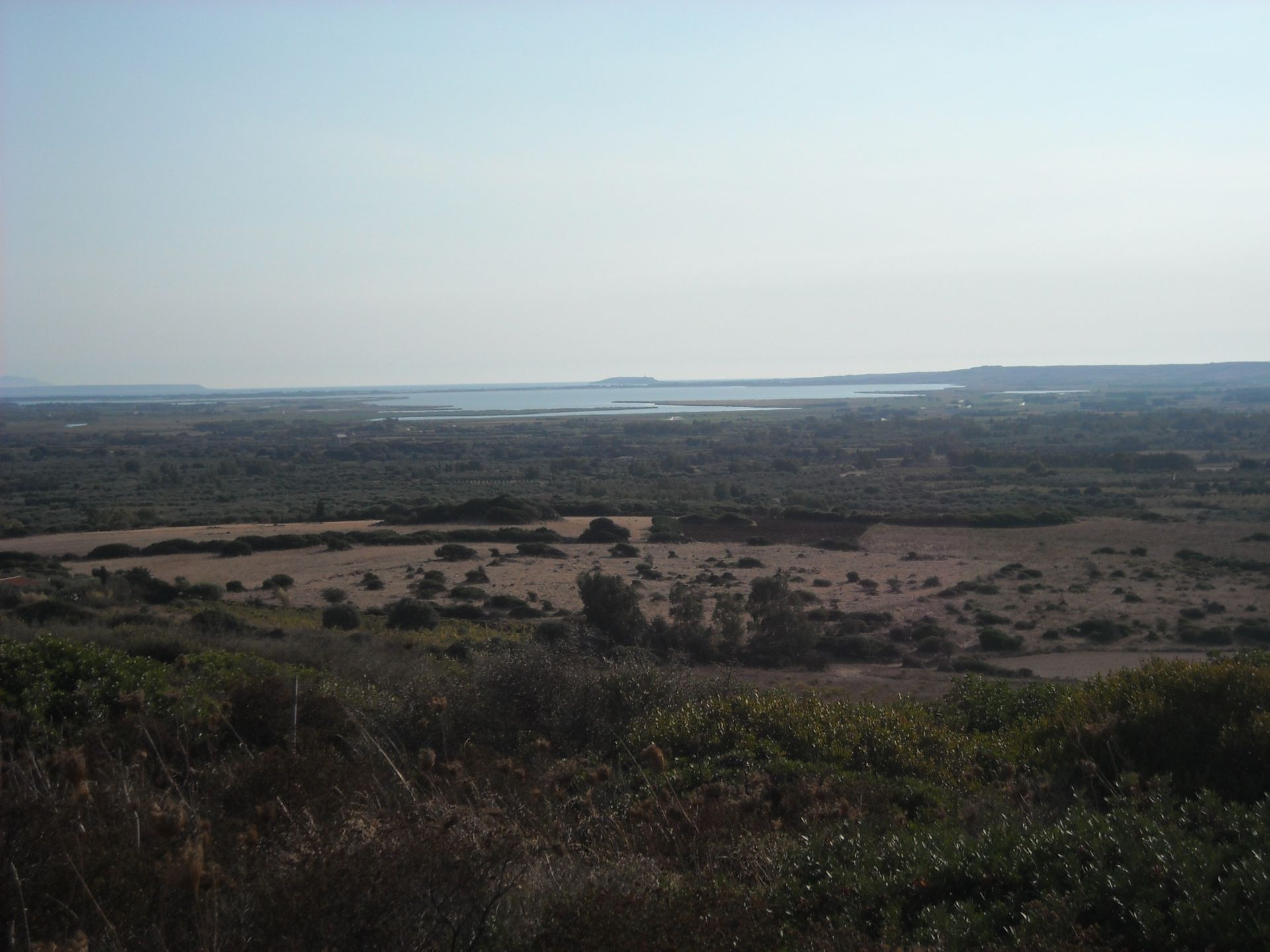 Terreno Agricolo Narbolia 