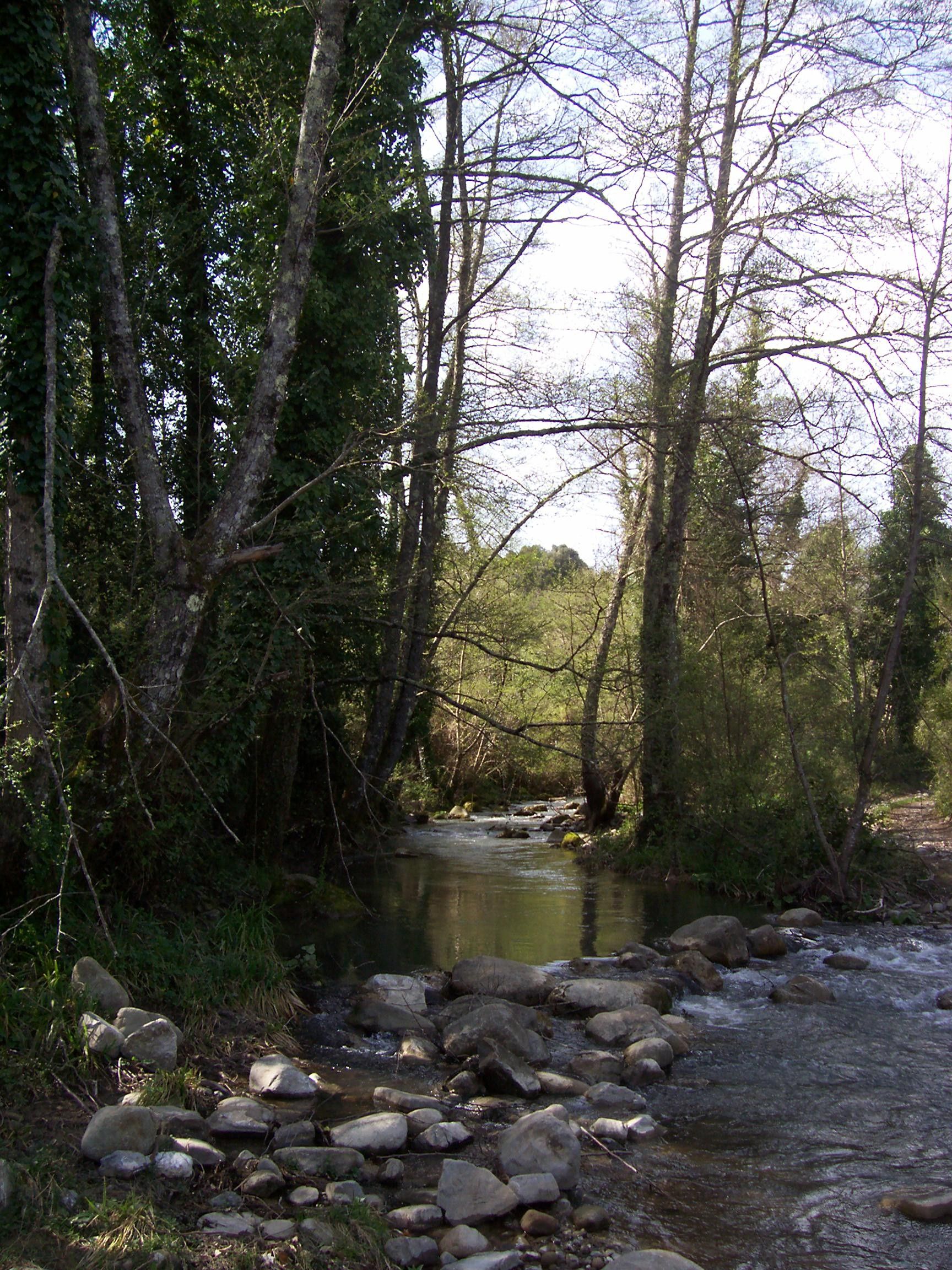 Terreno Agricolo Sessa Cilento 