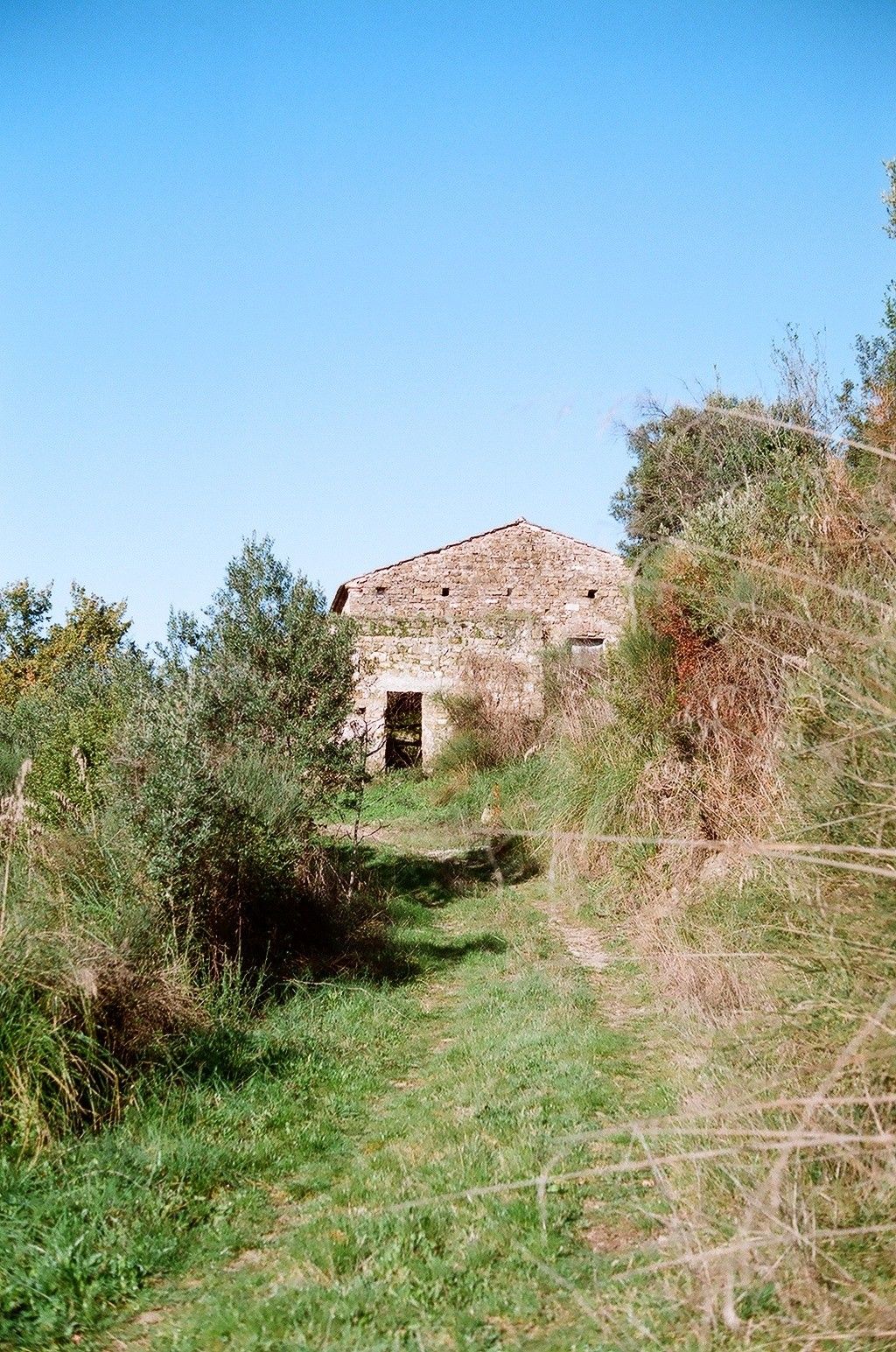 Vendita Terreno Agricolo Sessa Cilento