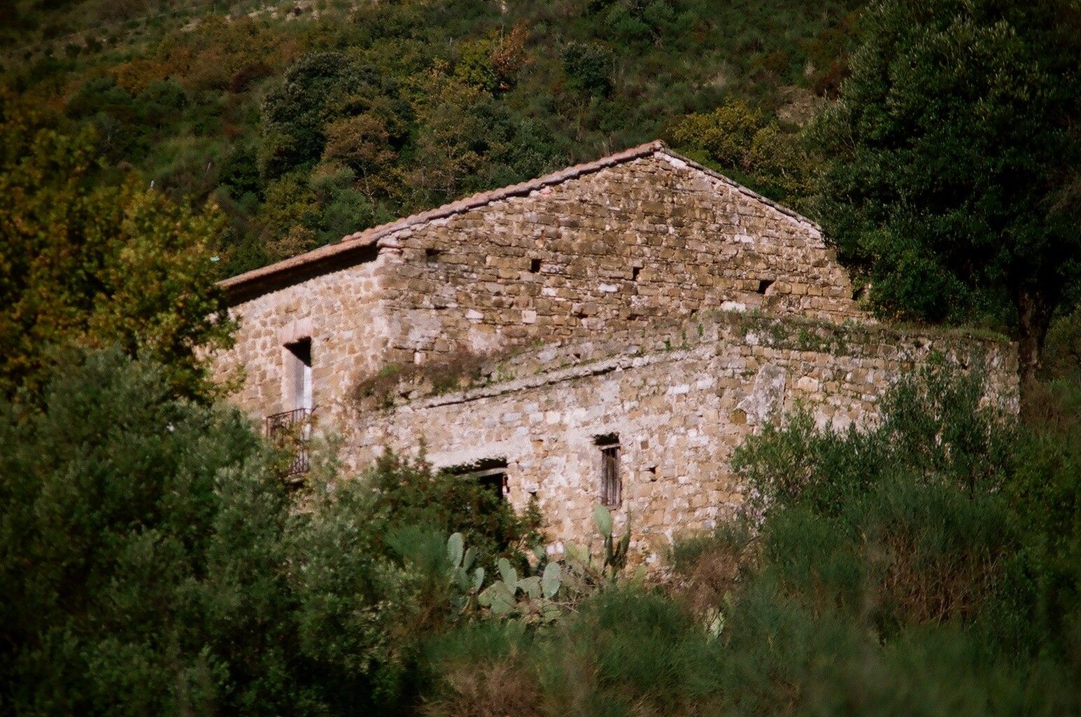 Terreno Agricolo Sessa Cilento 