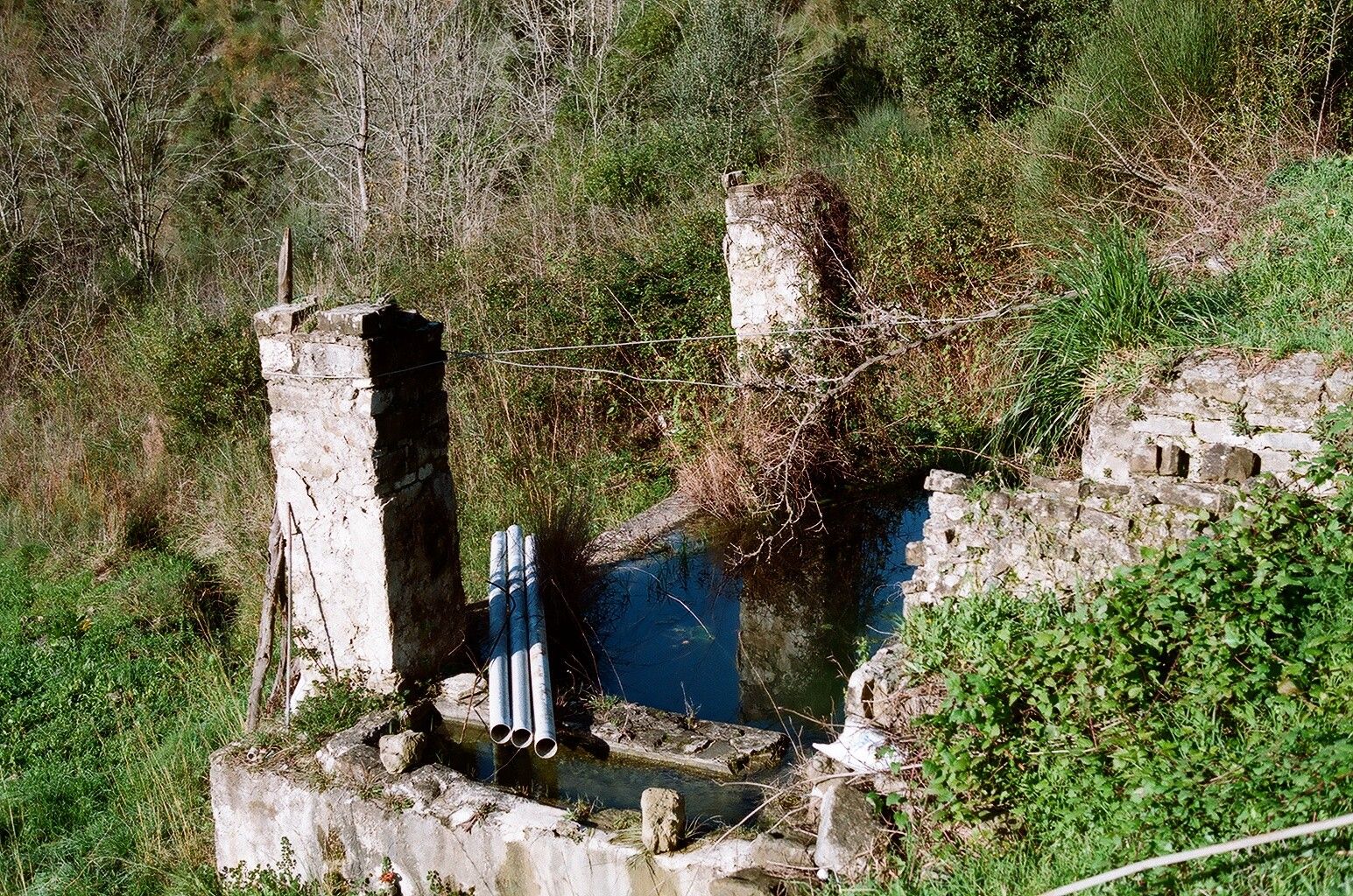 Terreno Agricolo Sessa Cilento 