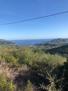 Terreno Agricolo Campo nell'Elba 