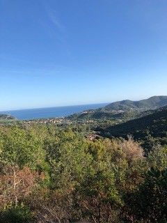 Vendita Terreno Agricolo Campo nell'Elba