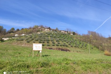 Terreno Industriale Chiampo 