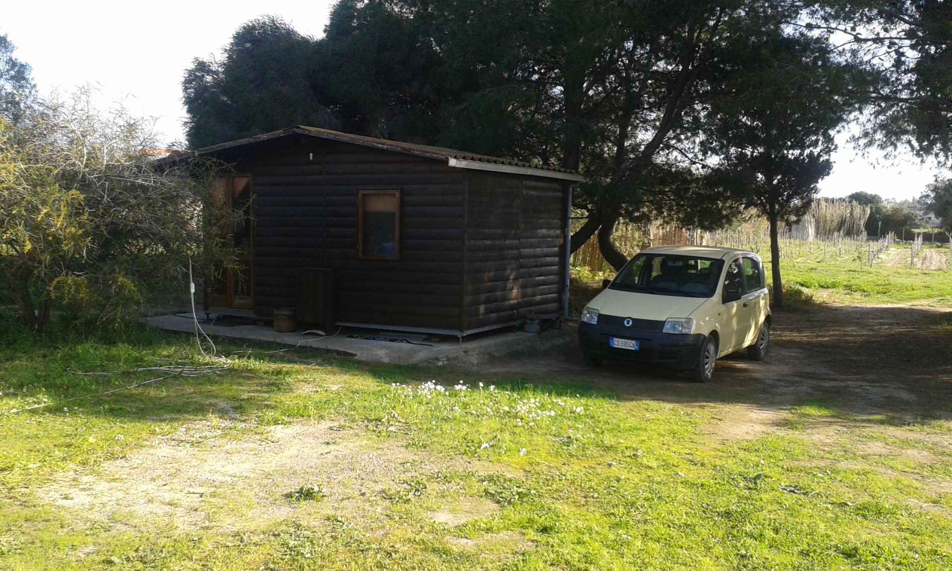 Vendita Terreno Agricolo Calasetta