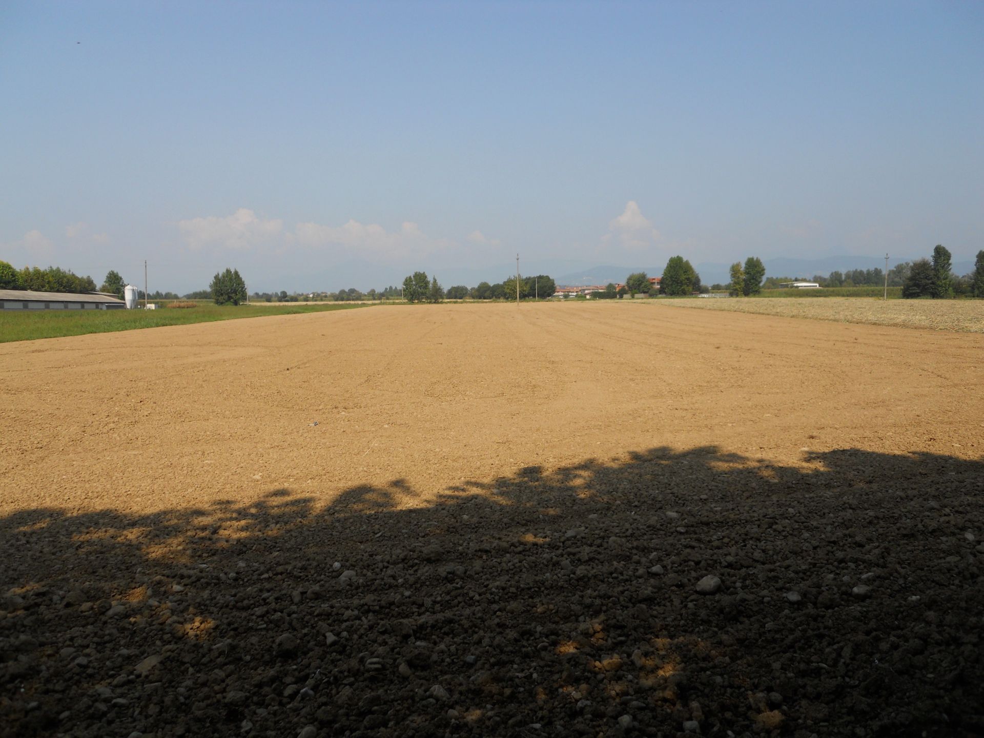 Terreno Agricolo Palosco 