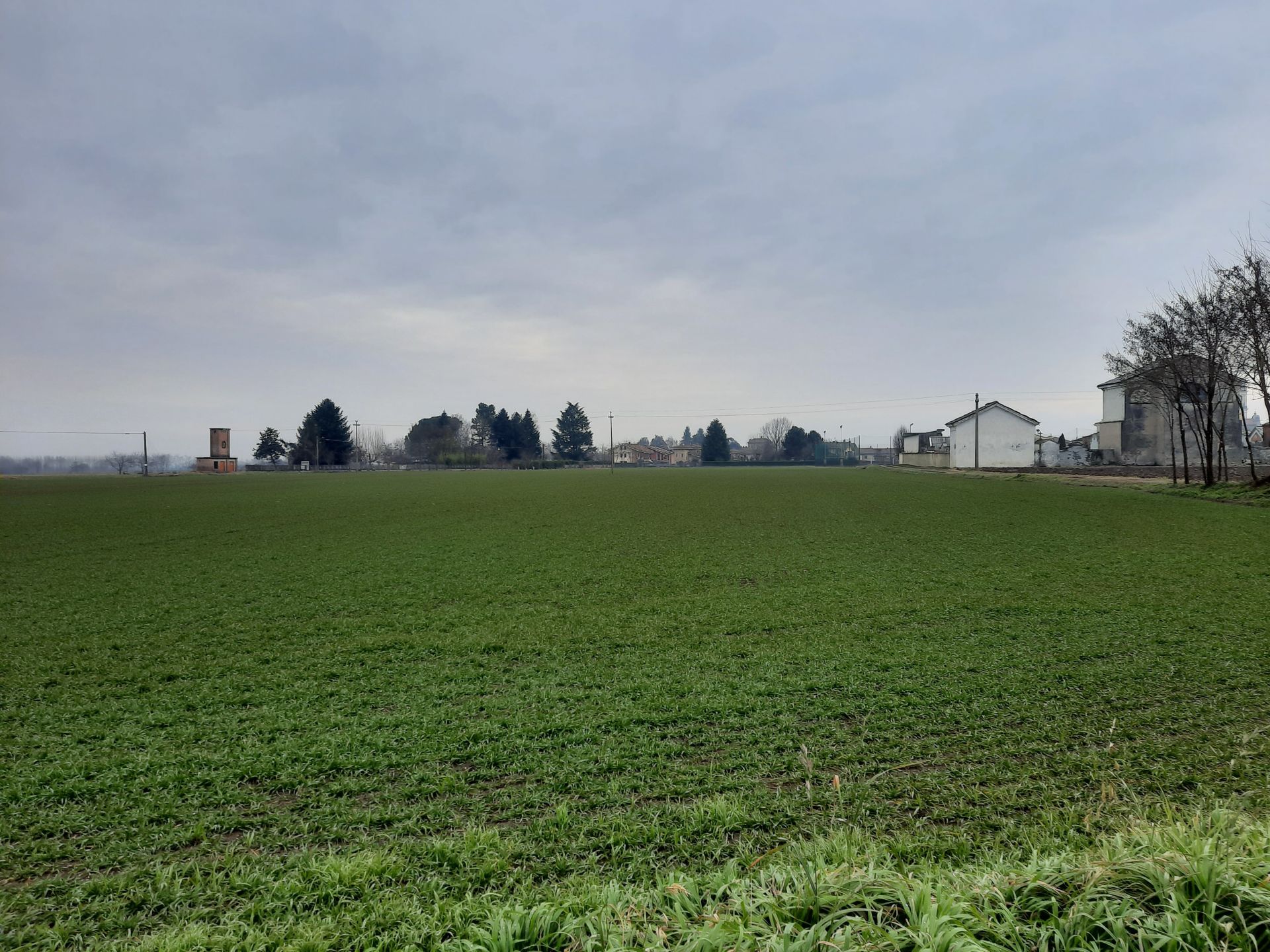 Terreno Agricolo Buriasco 