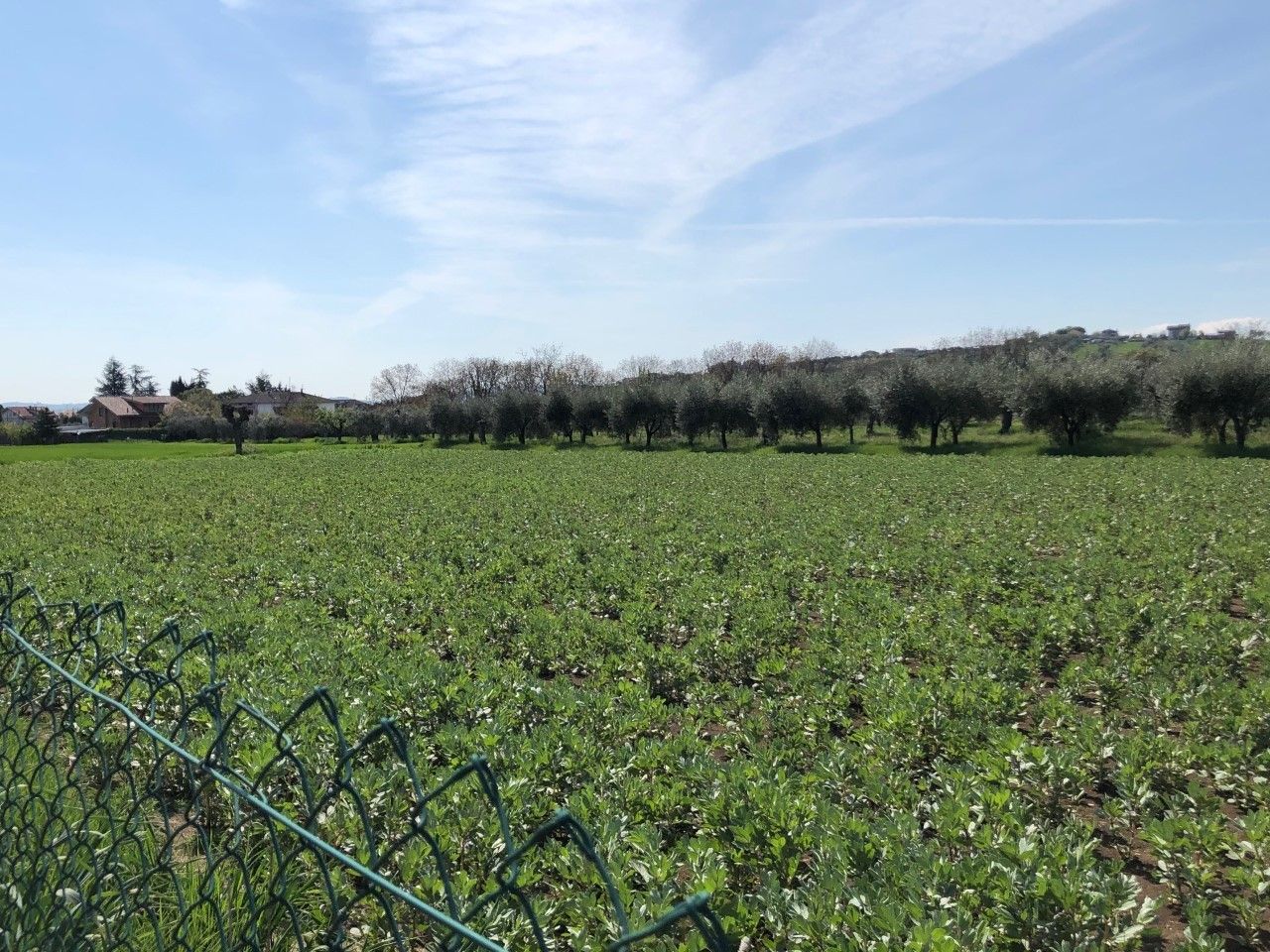 Vendita Terreno edificabile Sant'Egidio alla Vibrata