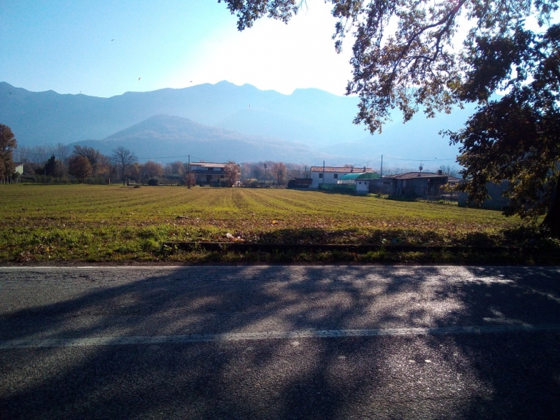 Vendita Terreno Industriale Riardo