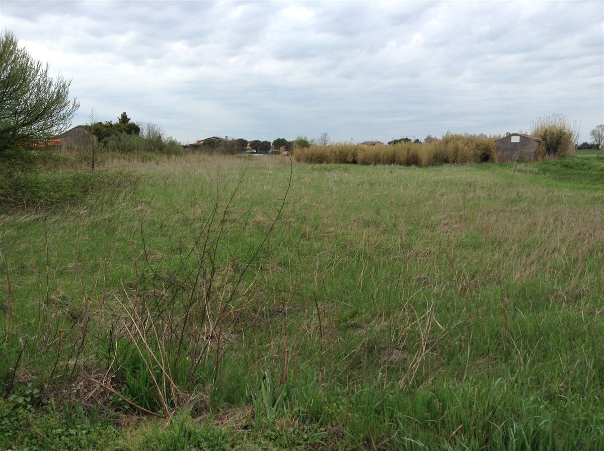 Vendita Terreno Agricolo Chioggia