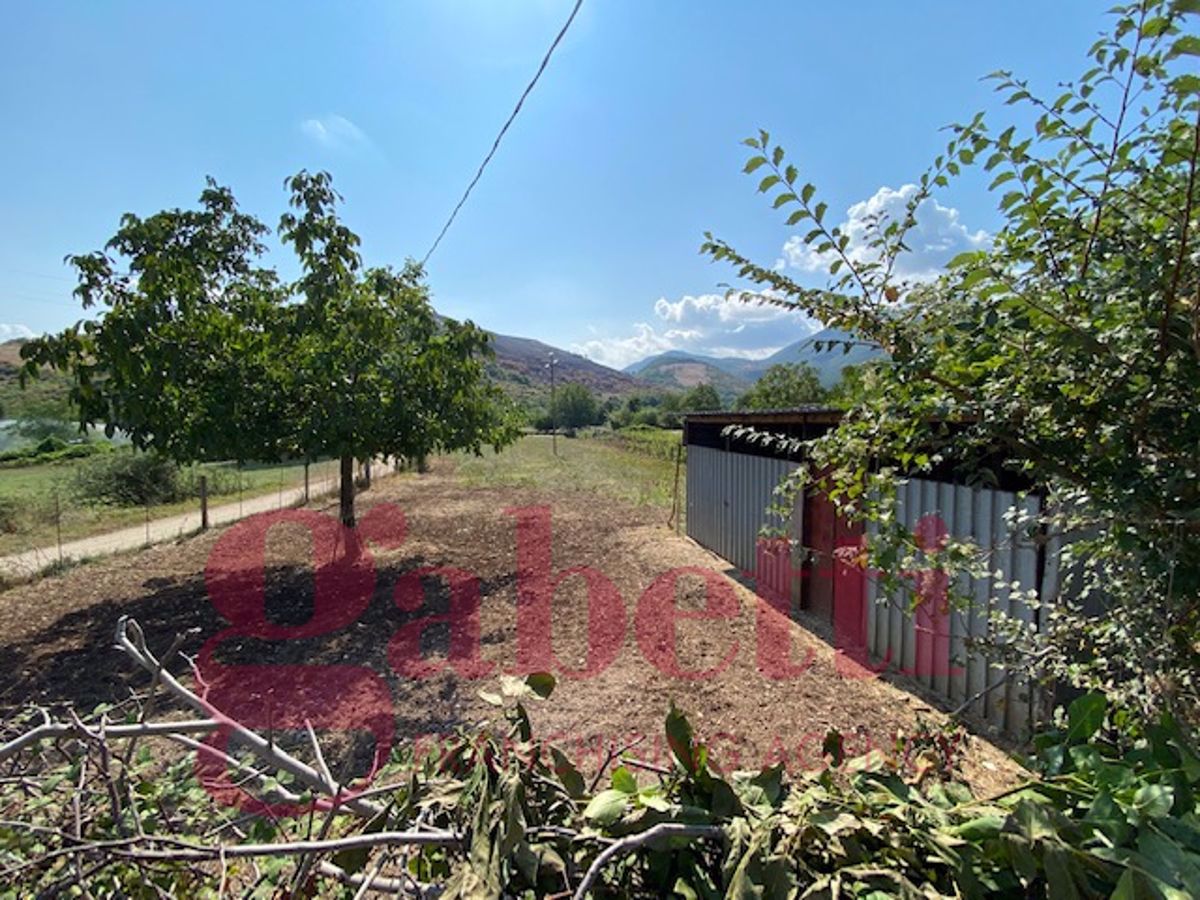 Vendita Terreno Agricolo Venafro