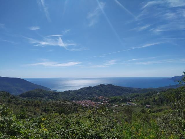 Vendita Terreno Residenziale Torraca