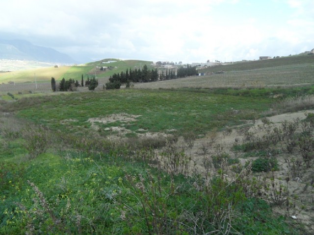 Terreno Residenziale in Vendita Alcamo